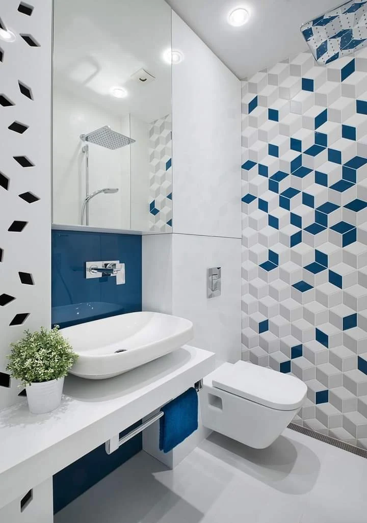 Blue & White Bathroom Interior